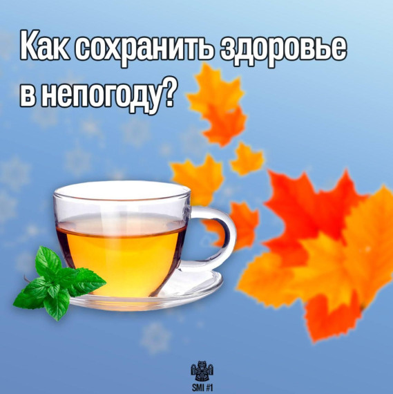 На улице стоит холодная и ветреная погода и стоит себя поберечь, чтобы не валяться в кровати с температурой. Как же эффективно защищаться от сезонных инфекций?.
